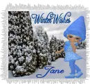 Winter Wishes - Jane
