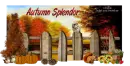 Autumn Splendor