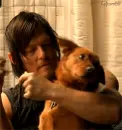 Norman Reedus 