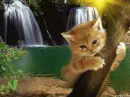 cat