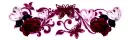 Red Roses Page Divider