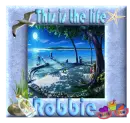 This is the Life - Robbie