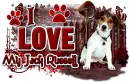 I Love My Jack Russell