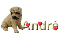 Andre
