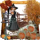 Pumpkin Patch