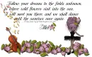 Mel - Dreams - Dance - Flowers
