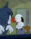 Tom & Jerry