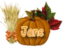 Pumpkin - Jane