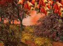 Autumn Fall - background