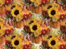 Autumn Fall - background