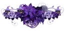 Halloween Divider
