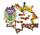 Autumn Owl ~ Elia