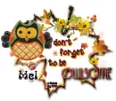 Autumn Owl ~ Mel