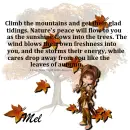 Mel - Mountains - Freshness - Leaves