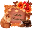 Happy Birthday!