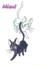 Luna & Artemis 1