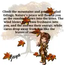 Jaya - Mountain - Leaves - Autumn