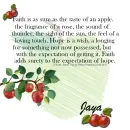 Jaya - Apple - Faith - Rose
