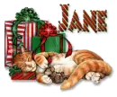 CAT/MOUSE NAPPING - JANE