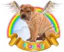 Carina (Rocky)