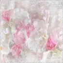Lovely