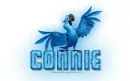 Blue Macaw: Connie