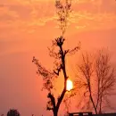Sunsets