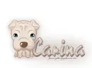 Sharpei: Carina