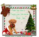 Puggilicious Christmas - jane