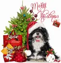 Merry Christmas/dog
