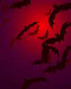 Halloween Bats