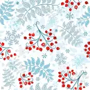 Snow mountain ash