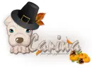 Sharpei: Thanksgiving: Carina