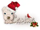 Sharpei: Christmas: Carina