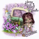 Spring flowers Connie