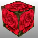 red rosas