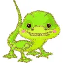 gecko