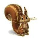 squirrel