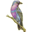 tropics bird