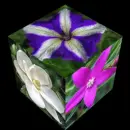 flowers cube