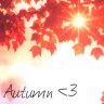 fall