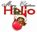 Hello Merry Christmas