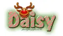 Reindeer: Daisy