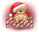 Christmas Bear: Pami
