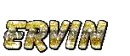 Ervin