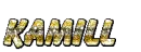 Kamill