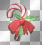 Candy cane 