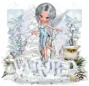 Winter Fairy