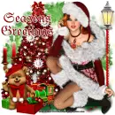 Season's Greetings 2015