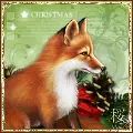 Christmas Avatar